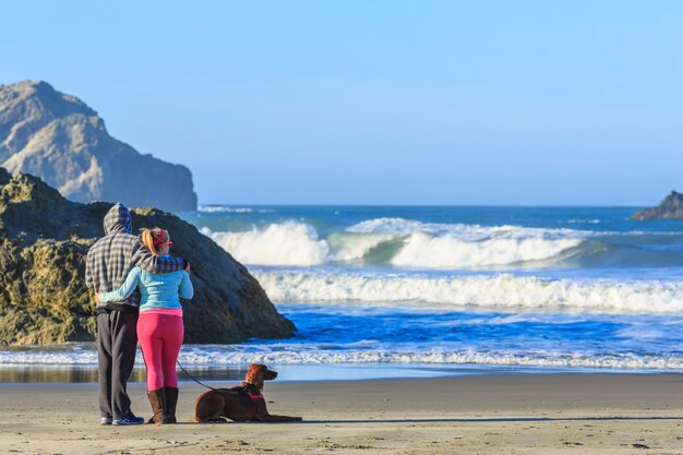 写真 犬を飼っている人は海の波の景色を楽しみます