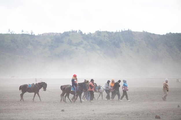 霧の野原で馬を持った人々