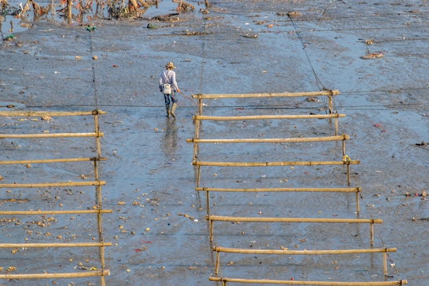 Люди работают с деревянными рамами и веревками на фермах по выращиванию морских водорослей на пляжах.