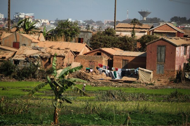 Photo people working on field by buildings against sky