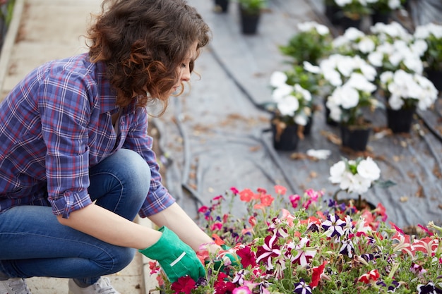 People working in a garden store