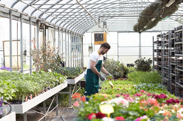 Photo people working in a garden store