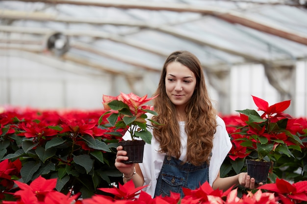 People working in a garden store