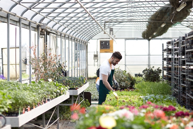 People working in a garden store