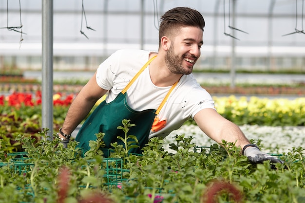 People working in a garden store