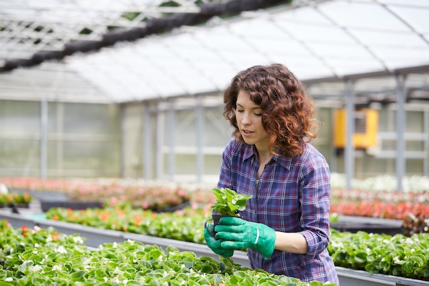 People working in a garden store