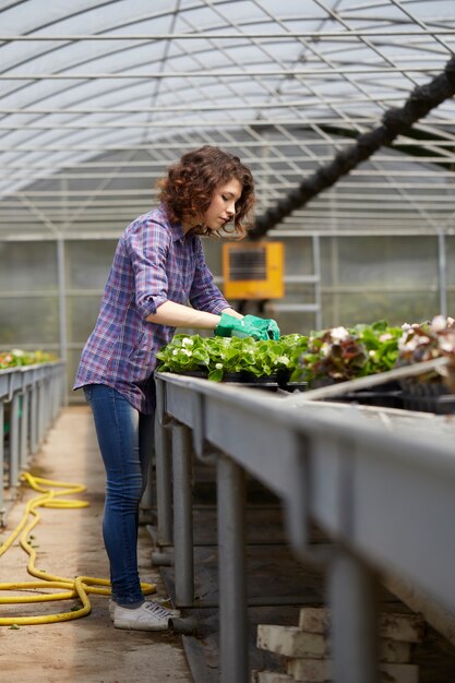 People working in a garden store