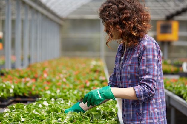 People working in a garden store