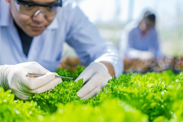 写真 植物で働く人たち