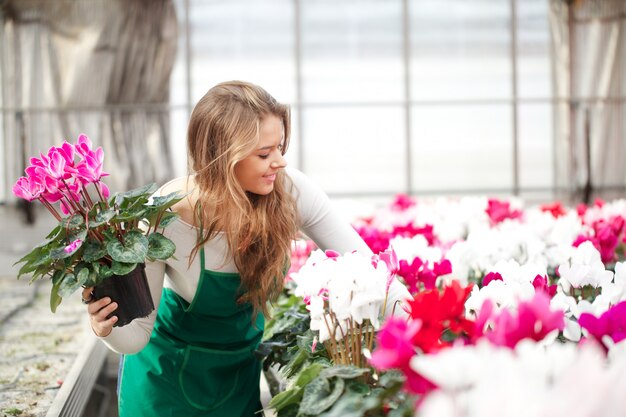 People working in a plant nursery