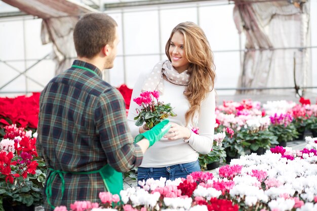 People working in a plant nursery