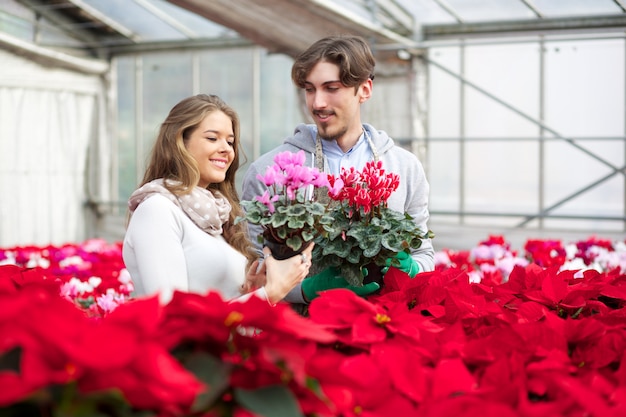 People working in a plant nursery