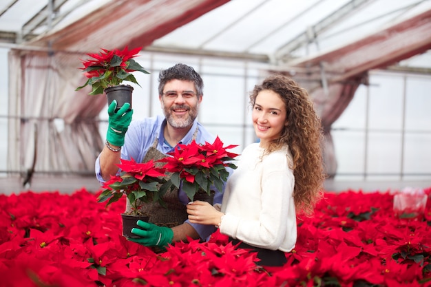 People working in a plant nursery