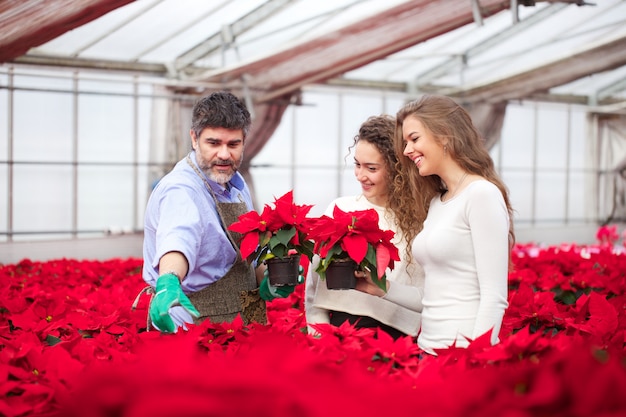 People working in a plant nursery