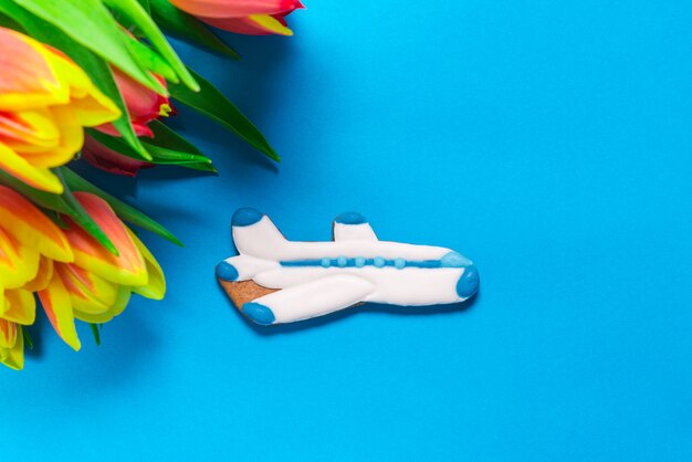 Peperkoekvliegtuig met tulpen op blauw