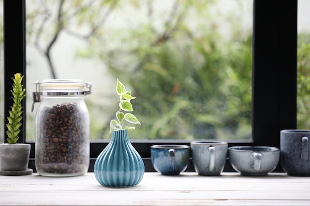 Peperomia plant and coffee cup line up in front of window on wooden table