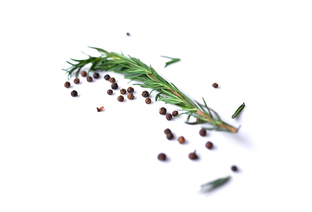 Pepperand rosemary for cooking isolated on white background