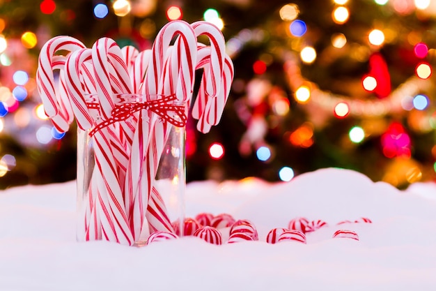 Peppermint candy canes on white background.