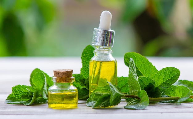 Olio essenziale di menta piperita in una piccola bottiglia messa a fuoco selettiva