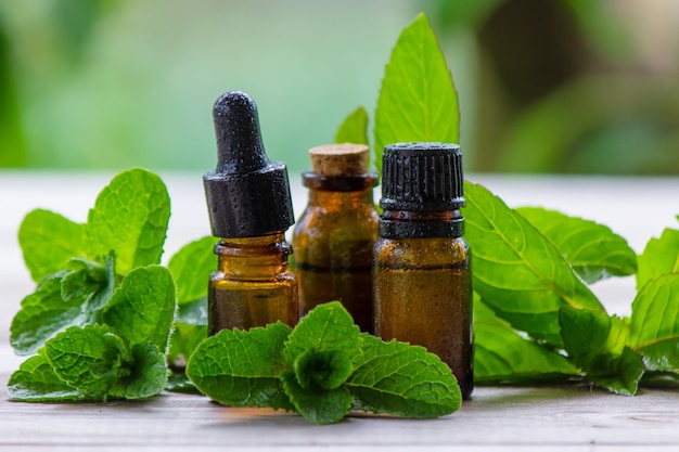 Peppermint essential oil in a small bottle Selective focus