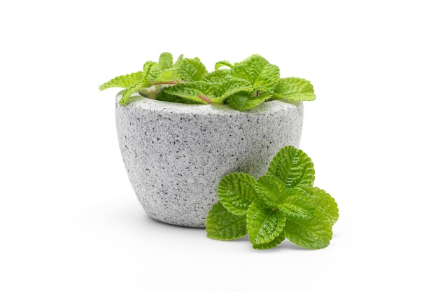 Peppermint leaves are placed in a granite mortar and placed on a white background.