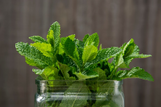 Peppermint leaves background. Summer drinks ingredient, cocktail. 