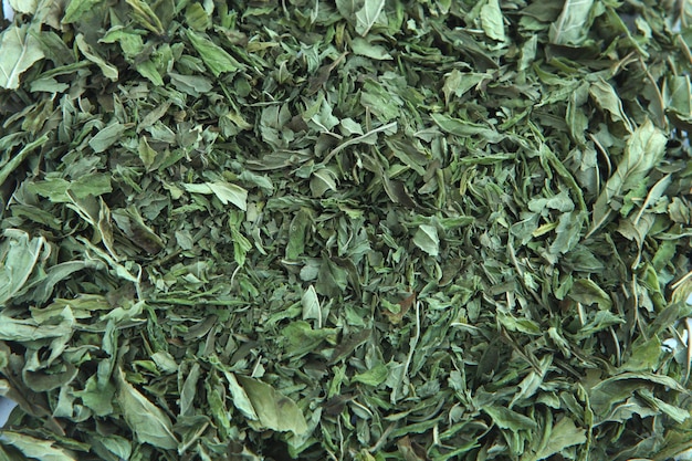 Зеленые листья мяты перечной - сушеная мята на белом