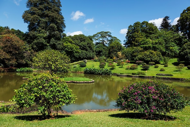 Peradeniya koninklijke botanische tuinen in kandy sri lanka