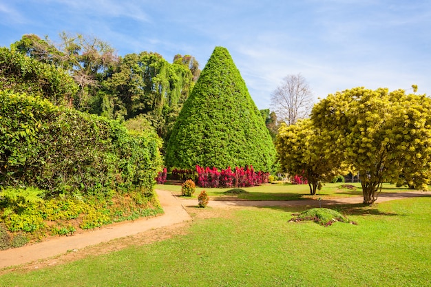 Photo peradeniya royal botanic gardens