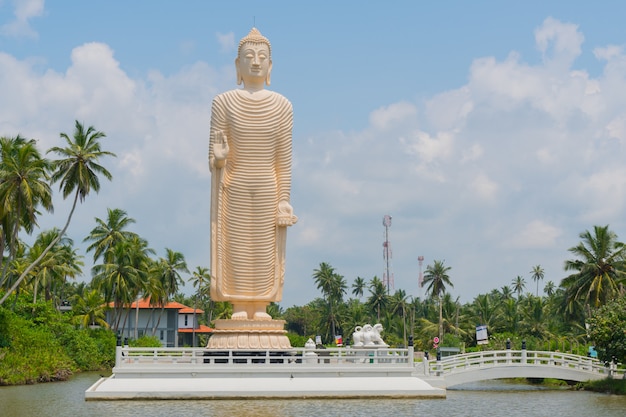 Peraliya Boeddhabeeld in Hikkaduwa