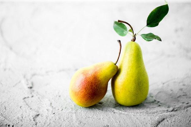 Peren op een betonnen achtergrond