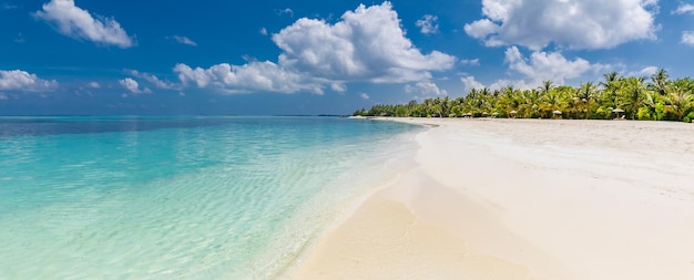 Perfect eiland, kust en zeegezicht met kalme blauwe zee, wit zand en palmbomen onder blauwe lucht