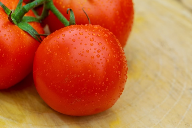 Perfect fresh red wet tomatoes with tomato on background, very soft focus