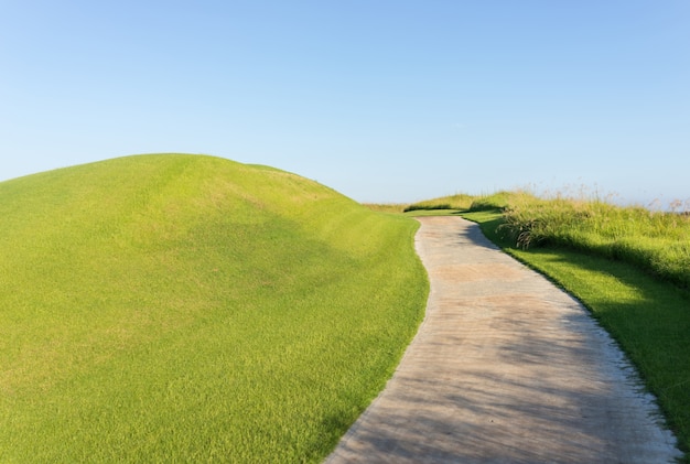 Photo perfect grass meadow