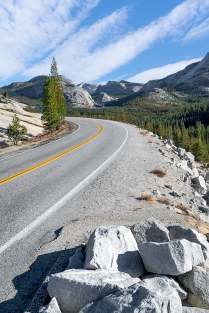 A perfect lonely road in Yosemite