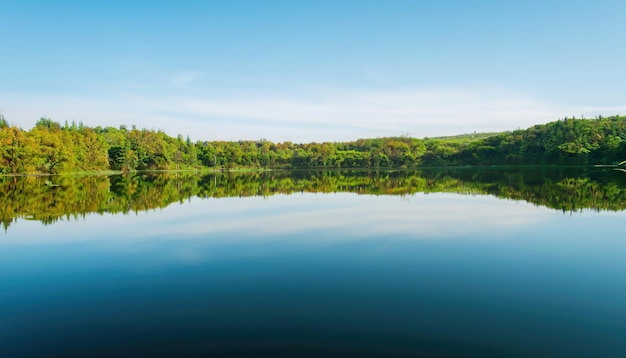 Perfect reflection at the quiet lake