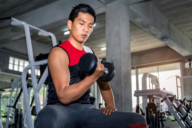 Perfect strong bodybuilder athletic Asian man workout arm with dumbbell on gym.