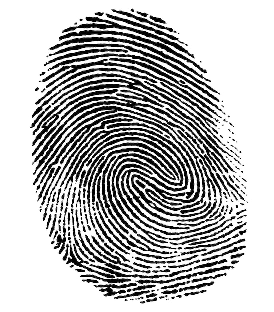 Photo perfect thumb fingerprint