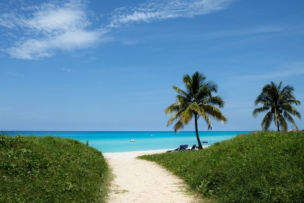 Perfect turquoise blue water at beach in Cuba, Varadero