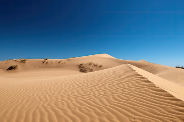 Perfectly shaped dunes against a clear blue sky