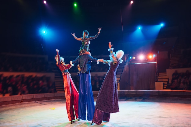 The performance of stilt-walkers in the circus.