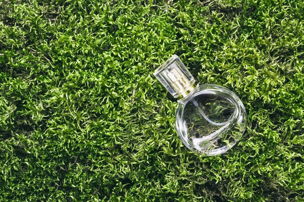 Perfume bottle on beautiful moss background. Nature fragrance beauty concept.