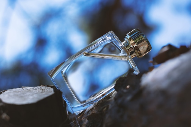 Perfume bottle in blue nature