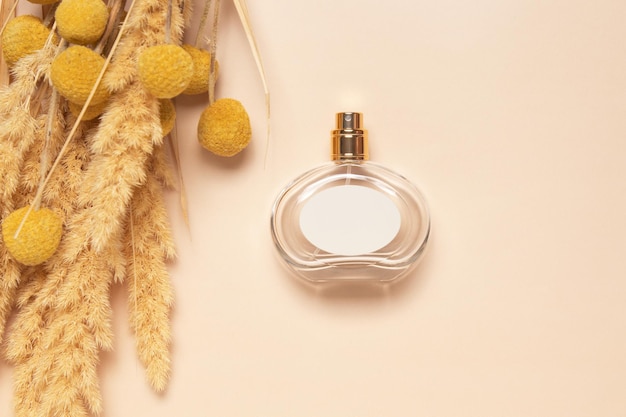 Perfume bottle and pampas grass Concept of expensive perfume and cosmetics Floral fragrance for women Perfume spray Modern luxury lady parfum de toilette