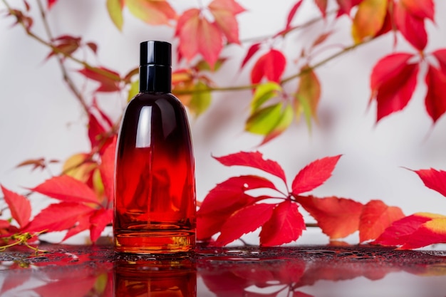 Bottiglia di profumo e fragranza vintage su una superficie di vetro nera circondata da foglie autunnali di uva selvatica e gocce d'acqua, profumo aromatico, cosmetici fragranti ed eau de toilette come marchio di bellezza di lusso