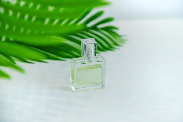 Perfume and cosmetics with green leaves Selective focus