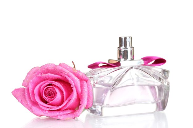 Perfume and pink roses on white background