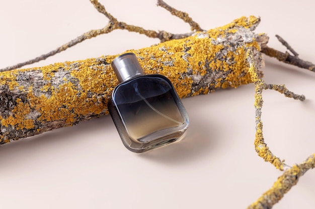 Perfume in a spray bottle bark and branches of a tree with lichens on a beige background