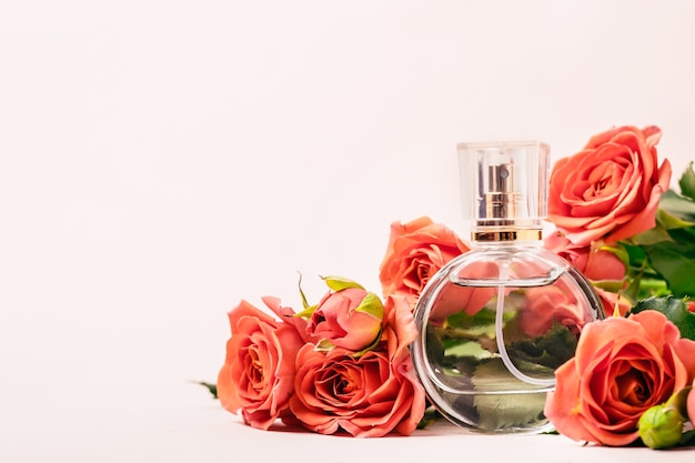 Perfume surrounded by coral roses on pink background.