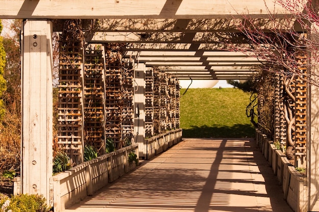 Pergola in de tuin.